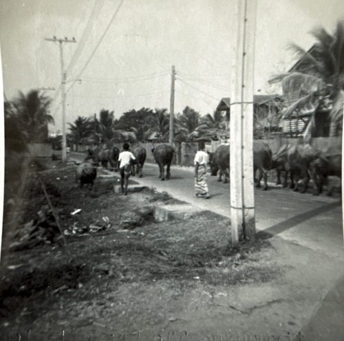 Thailand-1965-1967-034