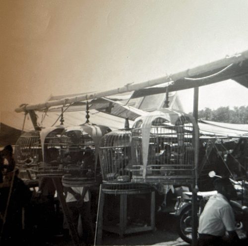 Thailand-1965-1967-057