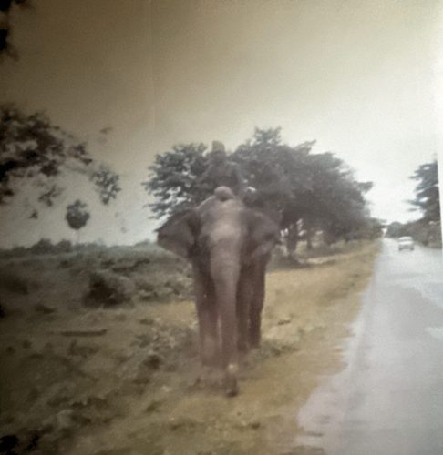Thailand-1968-69-031